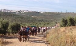 Gran éxito de participación de  la I Ruta a Caballo  “Caminos de Arjona”.