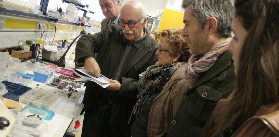 El Instituto de Arqueología de la UJA centrará, este año, su actividad en la Necrópolis de Piquía.