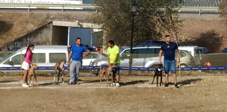 LOS GALGUEROS ARJONEROS DEMUESTRAN SU SOLIDARIDAD CON LA ASOCIACIÓN “MARÍA MONTESSORI”