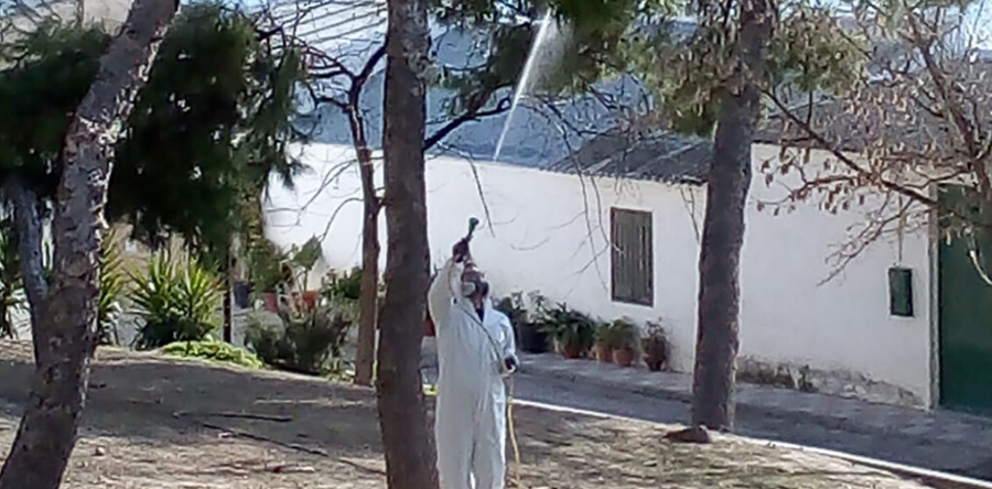 EL AYUNTAMIENTO DE ARJONA INICIA EL TRATAMIENTO DE PARQUES Y JARDINES MUNICIPALES CONTRA LA PROCESIONARIA