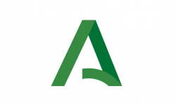 MEDIDAS TOMADAS POR EL GABINETE DE CRISIS DE LA JUNTA DE ANDALUCÍA