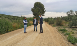 EL CAMINO DEL ALGARVE, ACONDICIONADO
