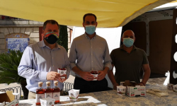 LA MUESTRA PROVINCIAL DE LA CEREZA LLEGA A ARJONA