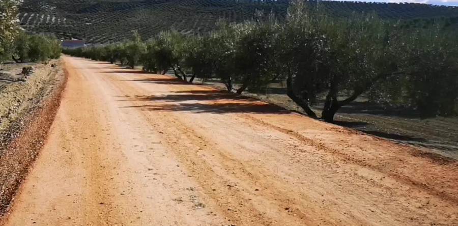 2021 FINALIZA CON UNA IMPORTANTE INVERSIÓN MUNICIPAL EN LA MEJORA DE LOS CAMINOS RURALES
