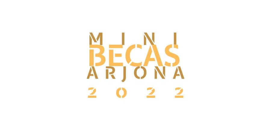 LISTA ADMITIDOS Y EXCLUIDOS PROVISIONALES BECAS ART JOVEN 2022