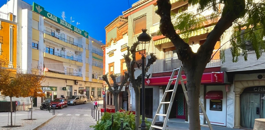EL AYUNTAMIENTO DE ARJONA MULTIPLICA LOS TRABAJOS DE JARDINERÍA DURANTE EL MES DE NOVIEMBRE