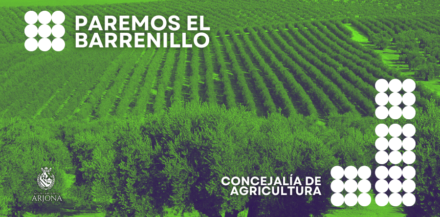 PAREMOS EL BARRENILLO