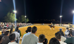 EL CENTRO OLEORASA TOUR DE ARJONA SE CONSOLIDA COMO UN REFERENTE ECUESTRE EN ANDALUCÍA