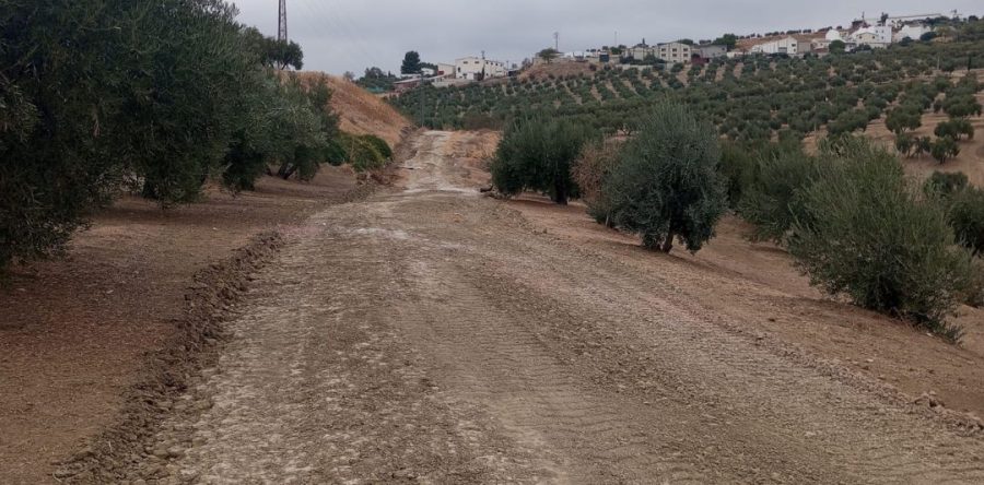 La Concejalía de Agricultura y Medio Ambiente intensifica las mejoras en los caminos rurales de Arjona
