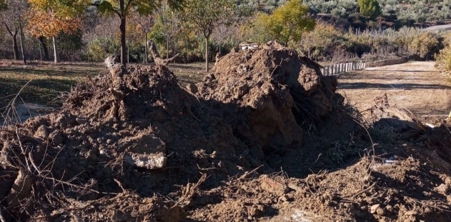 El Ayuntamiento actúa para restablecer la normalidad en los caminos rurales