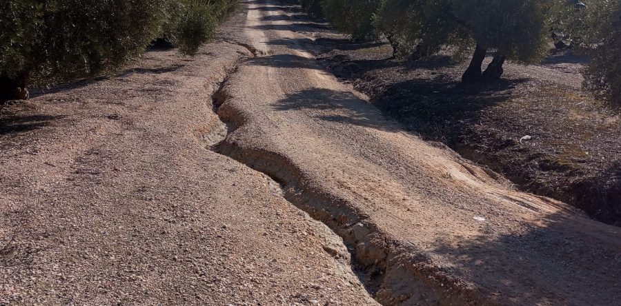 El Ayuntamiento actúa en el camino del Pozo General para mejorar los caminos rurales