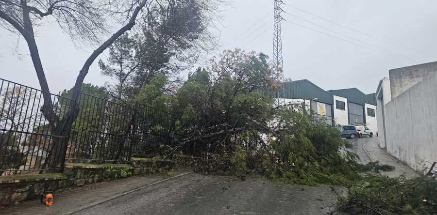El Ayuntamiento de Arjona mantiene activo el dispositivo municipal para remediar los efectos del temporal